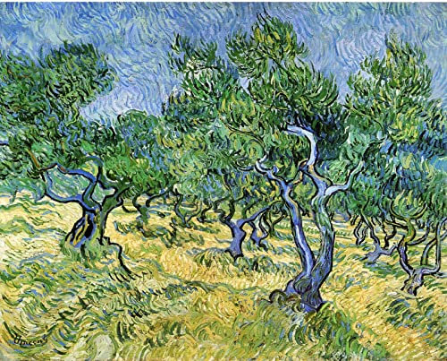 DTAUPREB Peinture par numéros pour adultes Kits de peinture à l'huile de bricolage Oliviers Vincent Van Gogh Peinture par numéro Dessin sur toile Art Décor Cadeaux