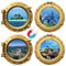 BAOZOON 4 Pieces Cruise Door Decorations Magnetic Cruise Porthole Door Magnets Turtle Palm Tree Cruise Magnet The Sea Nature Scenery Fridge Decor for Carnival Cruise Refrigerator Car(Gold)