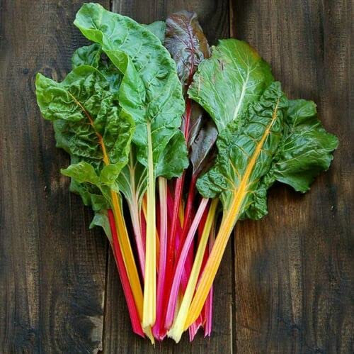 Rainbow Swiss Chard - Beta Vulgaris subsp. Cicla VAR. Flavescens Vegetable Seeds, Also Known as Leaf Beet Home Garden Seeds ing by Heavy Torch, 25 Seeds: Only seeds