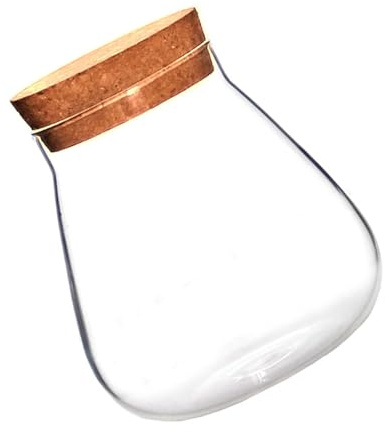 Lurrose 1 Stück Glasvase mit Korkverschluss Sukkulenten Pflanztopf Moosball Terrarium Transparentes Glasgefäß für Garten und Tischdekoration