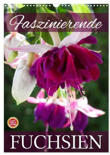 Faszinierende Fuchsien (Wandkalender 2026 DIN A3 hoch), CALVENDO Monatskalender: Faszinierende Fuchsien im Portrait (CALVENDO Natur)