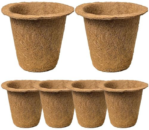ABOOFAN 6st Kokosnuss-palmen-sämling-Cup Blumentöpfe Gartenbedarf Pflanze