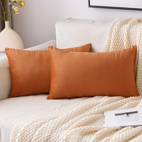 EMEMA Samt Kissenbezug Herbst Kissenhülle 30x50 cm Dekorative Dekokissen Orange Sofakissen Lendenkissen Wurfkissenbezug mit Verstecktem Reißverschluss Schlafzimmer Sofa 2er Set