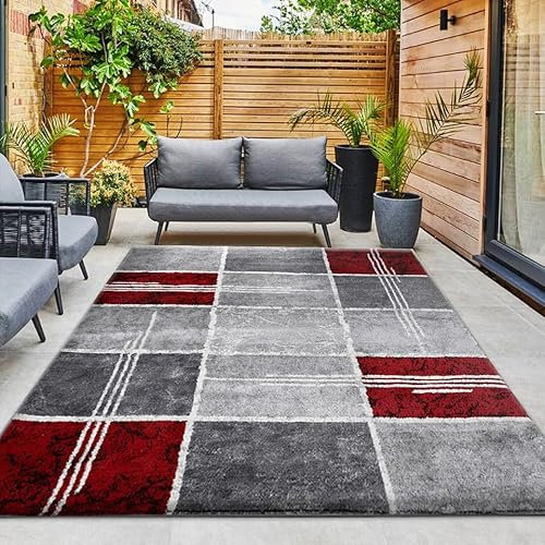 Modern Shaggy Area Rug Thick Pile Soft Carpet for Bedroom Living Room Dining Room TV Lounge - Warm and Cozy Plush Box Pattern Runner Rug Large Floor Mat - Red, 200x 290 cm