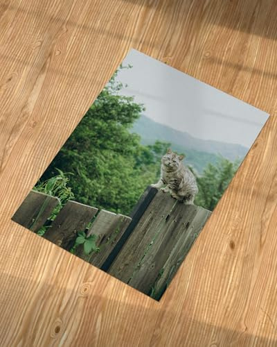 LIENZODECOR Poster Bild Personalisiert 100x70 cm | Fotogeschenke mit Eigenem | Geschenk Personalisiert | Foto Wandbild auf 250gr Papier