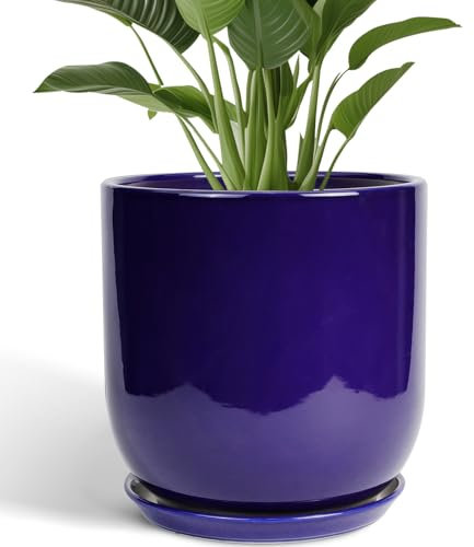 SUNPOTFOR Ceramic Planter - 12 Inch Pots for Plants Ceramic Plant Pot Indoor with Drainage Hole and Saucer Large Planter Flower Pot Outdoor for Home Garden Decor Blue