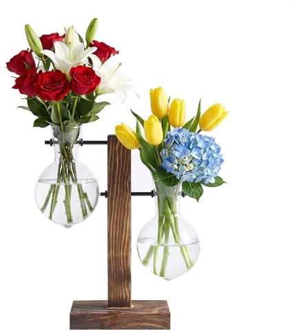 UPKOCH Hydroponische Vase Aus Glas Mit Holzständer Transparente Blumenvase Für Hydrokulturpflanzen Tischdeko Für Wohnzimmer Und Büro 2Er Set Mit 1 Holzhalter
