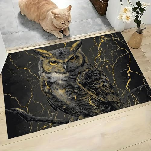 MLSOWM Blitzschlag Fußmatten, 60x90 cm rutschfest Waschbar Fussmatte Eule Willkommens Fußmatten Schmutzfangmatte für Innen und Außen, Anthrazitgrau
