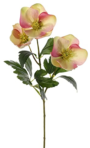 artplants.de Rose de Noël Artificielle AKRAB, crème-Rose, 45cm, Ø5-8cm - Hellebore Artificielle