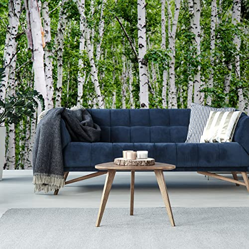Wallepic Selbstklebende Fototapete Birkenwald Moderne Tapete Wohnzimmer Schlafzimmer Büro Flur Wandtapete XXL Mehrfarbig Abstrakt Ideen Dekor Wandtattoo Br.360xHö.240