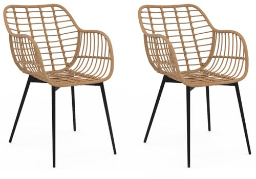 IDMarket - Set aus 2 Esszimmerstühlen, Tischsesseln Summer Rattan-Effekt Metallfuß schwarz