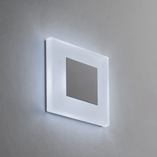 LED Treppenbeleuchtung Premium SunLED Small 230V 1W Echtes Glas Wandleuchten Treppenlicht mit Unterputzdose Treppen-Stufen-Beleuchtung Wand-Einbauleuchte (ALU: Silbergrau; LICHT: Kaltweiß, 1 Stück)