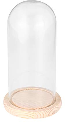 Glass Display Dome Cloche Tabletop Display Case Clear Glass Jar with Wooden Base DIY Craft Making Supplies 9x24cm