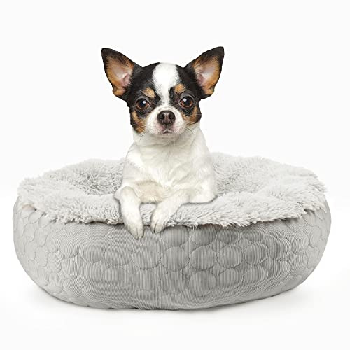 HACHIKITTY Hundebett, beruhigendes Donut-Bett, rund, flauschiges Hundebett, mittelgroße und große Hunde, kühlend, wärmend, weiches Hundekissen, Donut-Bett mit warmen und kühlen Seiten (Medium, Grau)