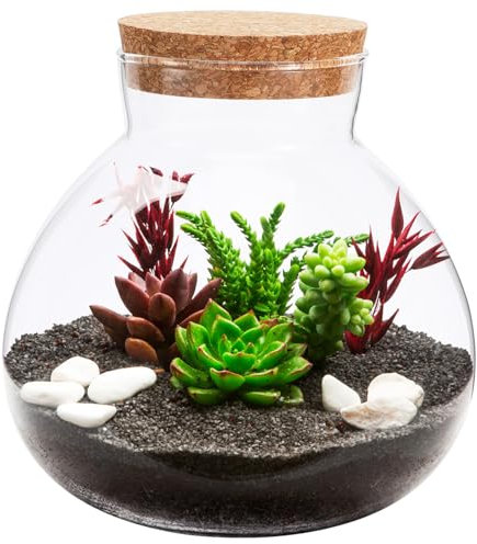 Tarro de terrario de vidrio ecológico con tapa de corcho, botella de micropaisaje para suculentas, helechos y plantas decorativas, ideal para decoración y almacenamiento de oficina en casa