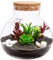 Tarro de terrario de vidrio ecológico con tapa de corcho, botella de micropaisaje para suculentas, helechos y plantas decorativas, ideal para decoración y almacenamiento de oficina en casa