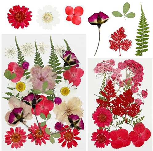 Cayway 40 Stück Echte Natürliche Getrocknete Gepresste Blumen, Rot DIY Getrocknete Gepresste Blätter DIY Gepresste Blumen für DIY Basteln, Kerzen Scrapbooking Zubehör