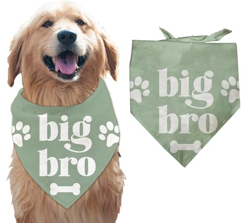 arricraft 1 Stück Großer Bruder Haustier Hundebandana, Grüne Knochen Pfotenabdrücke Großer Bruder Worte Welpen Schal Halstuch Baumwolle Dekorative Haustier Bandana Haustier Zubehör