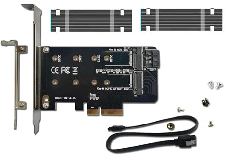 Valuegist Dual M.2 PCIE Adapter for SATA or PCIE NVMe SSD, M.2 SSD NVME (m Key) and SATA (b Key) 2280 2260 2242 2230 to PCI-e 3.0 x 4 Host Controller Expansion Card (MBkeyWithSink)