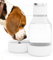 asobu Dog Bowl Attached to Tritan 1 Liter Bottle (White), TWB20 WHITE