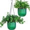 Josteve Macetas colgantes de 6.5 pulgadas, 2 piezas de riego automático, macetas colgantes para plantas de interior y exterior, nivel de agua visible