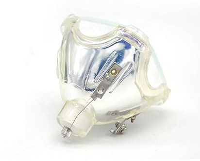 SeiZed Ampoule de projecteur de Remplacement, for Sony VPL-HW30AES HW30ES HW50ES HW55ES VW95ES HW30 HW30ES SXRD HW40ES LMP-H202 LMP-H201