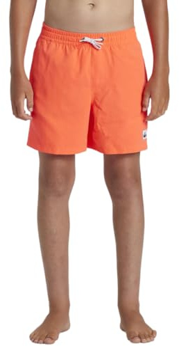 Quiksilver - Everyday Solid Volley 14 Boardshorts - Kind