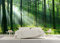 SILK ROAD EU™ Papier Peint Soie Panoramique 3D Forêt Trompe l'oeil, 500 × 280cm, Poster Geant Mural Personnalisé, Paysage Nature vert, pour Salon Chambre Chambre restaurant Décoration Murale