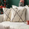 MIULEE 2er Set Kissenbezug Dekorative Chenille Moderne Dekokissenbezug Kissenbezüge Kissenhülle Sofakissen FederKissenbezüge Kissenhülle Kissen Für Sofa Schlafzimmer 60x60 cm Weiß