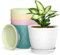 Plastic Plant Pots Indoor, 5 Pack 20cm/8 Inch Stripe Grooves Flower Pots with Drainage Holes and Tray, Modern Decorative Planter Pot for All House Plants（Multicolor）