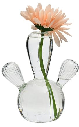 GAOFESA Vaso in vetro cactus, vaso per fiori, decorazione per la casa, idroponica, terrari, composizioni floreali, vasi da fiori, decorazione per il soggiorno