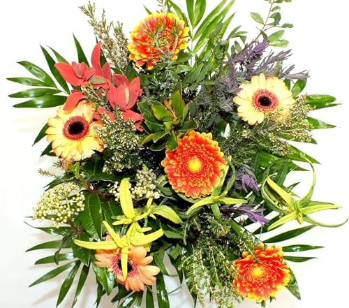 Blumenstrauß Frühling in der Provence Ø 40 cm, Gerbera & Beiwerk, Frisch & Langlebig, Ideal für Geburtstagsgeschenke, Jubiläen & Anlässe (Zustellung vorraussichtlich am 18.02.)