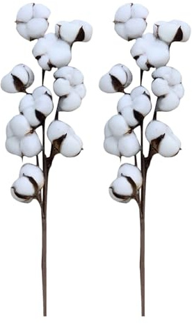 Bouquet aus trockener Baumwolle: Stieldekoration aus natürlicher Baumwolle, rustikale Blumenanordnung, Vintage-Tischdekoration, Mittelstück aus Baumwolle, Hochzeitsblumen, Blumengruppe aus Baumwolle