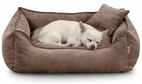 Gutekissen® Hundebett Lucky – Flauschiges Hundekissen für kleine & große Hunde – Waschbares Haustierbett mit Füllung aus Polyurethanschaum & abnehmbarem Bezug (Braun, XS - 55x40)