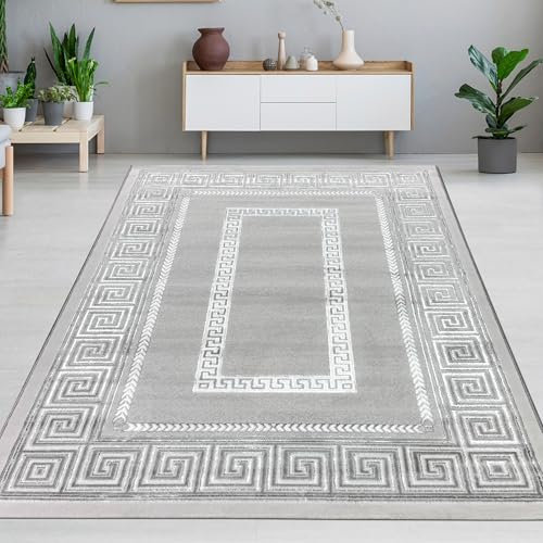 CARPETIA Designer Teppich versage Muster grau schwarz Größe 160x230 cm