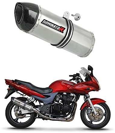 DOMINATOR Pot d'échappement Silencieux HP1 compatible avec ZR7 / ZR7S 1999-2004