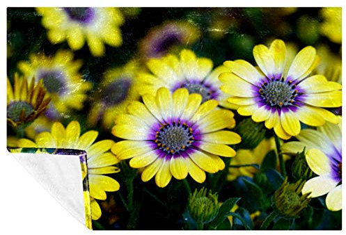 BestIdeas Cape Basket Drucke Weich Warm Gemütliche Decke Überwurf für Bett Couch Sofa Picknick Camping Strand 150 × 100 cm