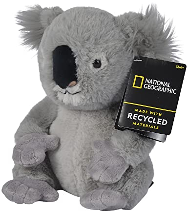 Simba 6315870103 - Disney National Geographic Koala, 25cm Plüschtier, für Kinder ab den ersten Lebensmonaten geeignet