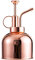 Pflanzensprühflasche,300ml Metall Pflanzensprüher Pflanzen,Sprühflasche Edelstah Gießkanne mit Top Pumpe,Handsprüher Kleine Gießkanne für Zimmerpflanzen Garten Pflanzen Indoor Outdoo(Roségold)
