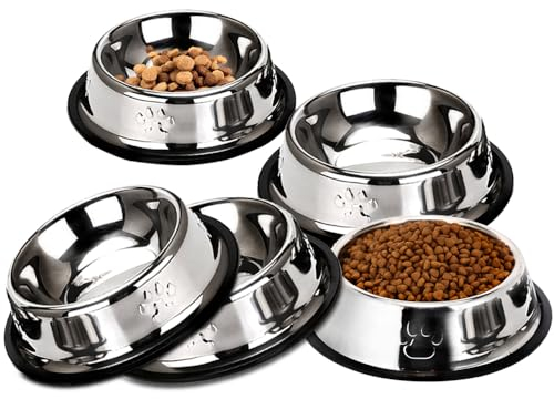 Katzennapf, Futternapf Katze & 5-teiliges Futterschüssel Katze – rutschfeste Schalen für Futter & Wasser, mindert Schnurrhaarmüdigkeit