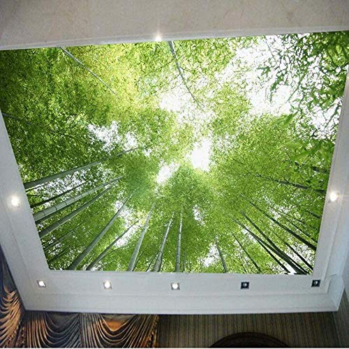 XiuTaiLtd 3D Vert Bambou Bleu Ciel Paysage Plafond Photo Papier Peint Mural Pour Salon Ktv Bar Décoration Murale Peinture Paysage-450x315 CM