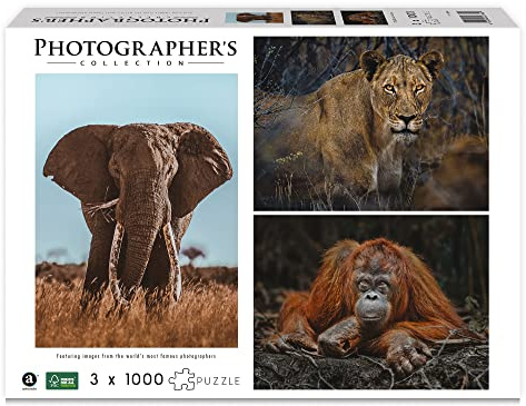 Ambassador 7230788 Wildtiere Blickkontakt, 3x1000 Teile Puzzle für Erwachsene und Kinder ab 10 Jahren, Photographer's Collection, Donal Boyd
