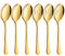 LIANYU 6 Pack Gold Serving Spoons Set, Large Slotted Spoons, Stainless Steel Buffet Dinner Restaurant Golden Serving Utensils, Catering Set for Party Banquet, 9.8 Inch