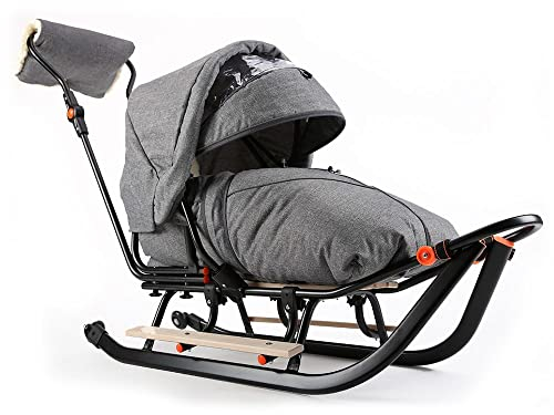 Teo & Gigi Rodelschlitten mit Rückenlehne | Davoser Schlitten mit Sicherheitsgurt und Winterfußsack | Baby Kinder Schlitten | Made IN EU | All Seasons Plus | grau