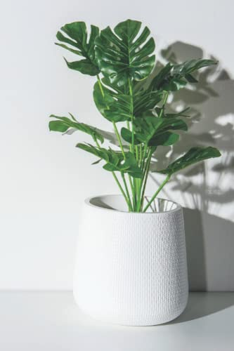 Monstera on White Journal: paperback, 100 soft white pages with soft black ink lines