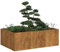 Fioriera Arrugginita 120x80x40 cm in Acciaio Corten (12,1KG)