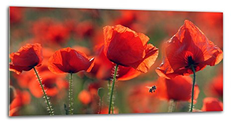 Decorwelt Paraschizzi da cucina in vetro, 80 x 40 cm, protezione da parete per fornelli, lavelli, cucina, protezione contro spruzzi di piastrelle, specchio da cucina, vetro decorativo a forma di
