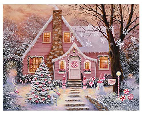 5D DIY Diamond Painting Kits Winterländer Voll Bohren Strass Kristall Diamant Malerei Kinder Erwachsene Kreuzstich Stickerei Anzahl Für Home Wall Dekoration Handwerk Square Drill 50x70cm AAB18151