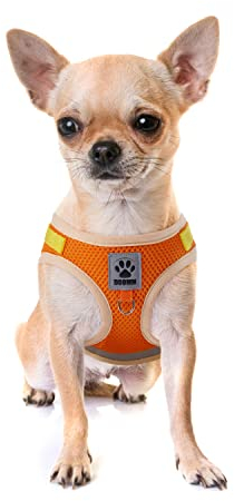 Hundegeschirr Katzengeschirr mit Leine ausbruchsicher Set - Step in Geschirr mit Klettverschluss Brustgeschirr sicherheitsgeschirr für Katzen kleine Hunde Orange S
