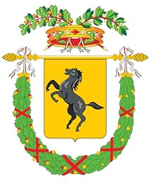 Bandiera Napoli con stemma della città – Stemma della città Napoli su sfondo bianco, bandiera marina italiana/30 x 20 cm